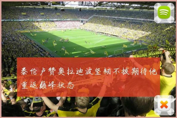 泰伦卢赞奥拉迪波坚韧不拔期待他重返巅峰状态