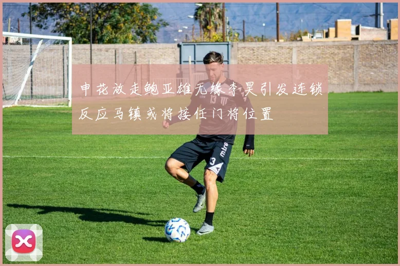 申花放走鲍亚雄无缘李昊引发连锁反应马镇或将接任门将位置